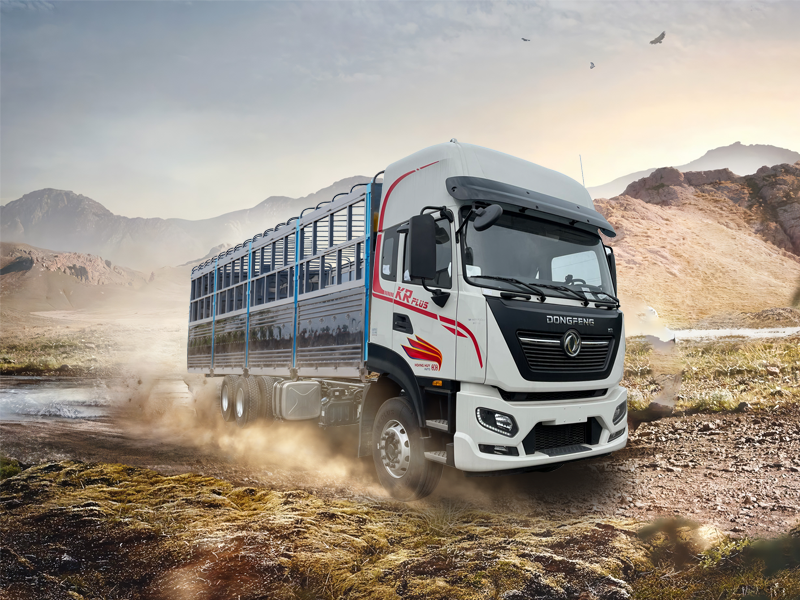 Thương mại - Dịch vụ